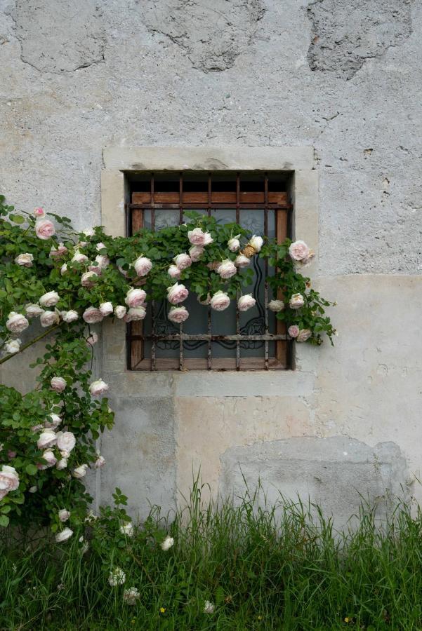Вілла Fiori&Vigne Di Cecilia Marcon Farra di Soligo Екстер'єр фото